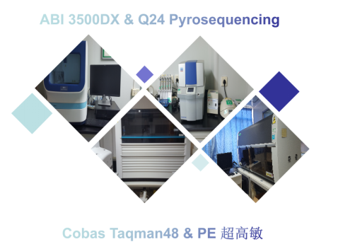 PCR图片1.png