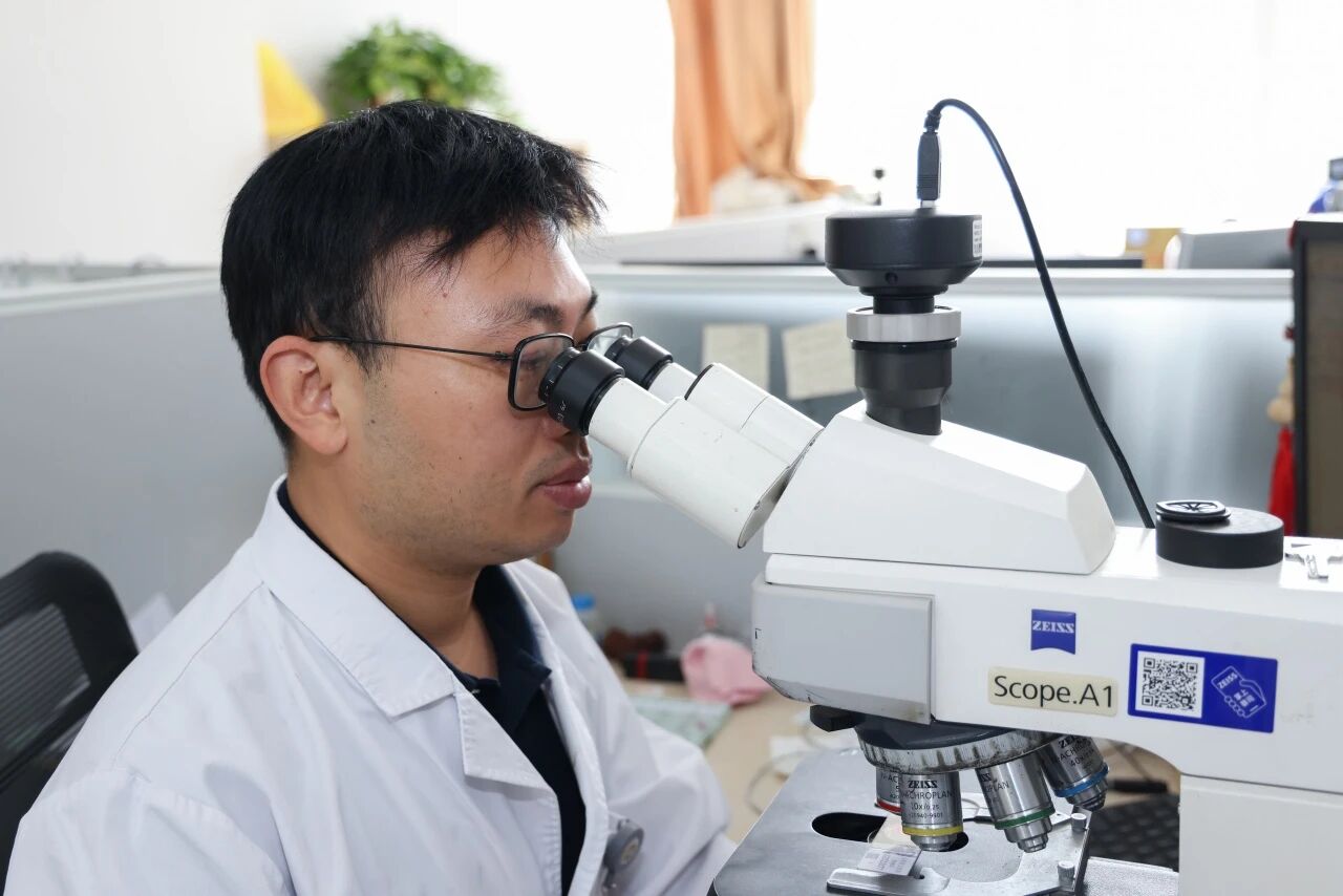 微信图片_2025-10-09_103435_568.jpg 微信图片_2025-10-09_103435_568.jpg