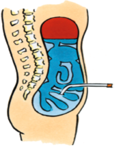 图片91.png 图片91.png