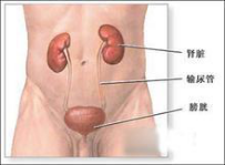 图片108.png 图片108.png