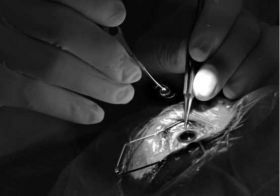 图片14.png 图片14.png