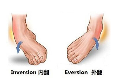 图片5.jpg 图片5.jpg