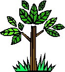 图片26.jpg 图片26.jpg