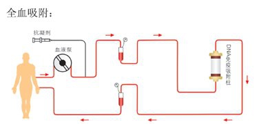 图片99.jpg 图片99.jpg