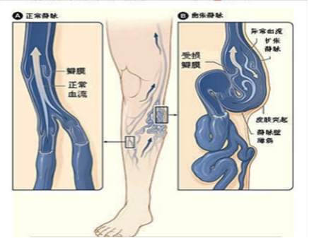 图片5.jpg