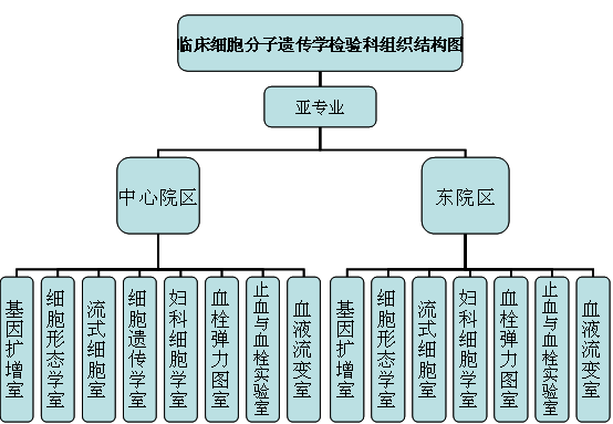 细胞图片1.png