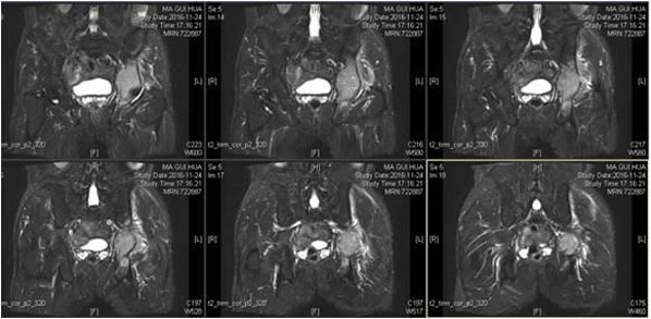 图片11.jpg 图片11.jpg