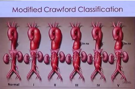 图片9.jpg 图片9.jpg