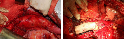 图片13.jpg 图片13.jpg