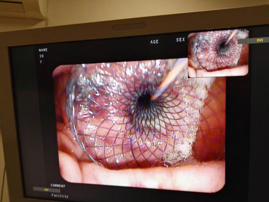 图片3.jpg 图片3.jpg