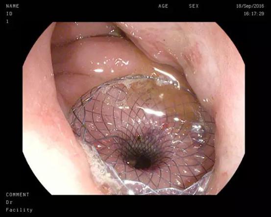 图片4.jpg 图片4.jpg