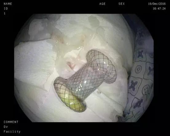 图片7.jpg 图片7.jpg