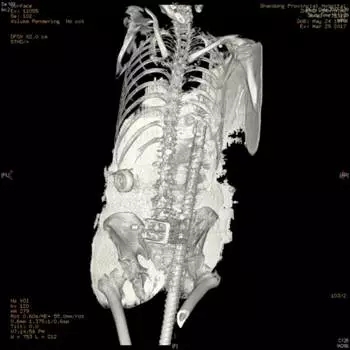 640.webp (1).jpg 640.webp (1).jpg