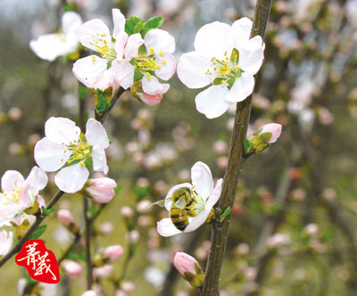山东-4期报纸(4)-33.jpg