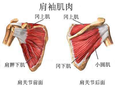图片2.jpg