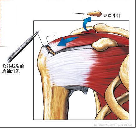 图片4.jpg