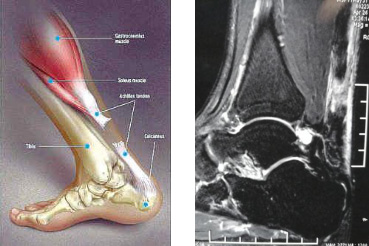 图片4.jpg 图片4.jpg