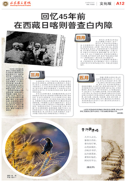 山东12.jpg