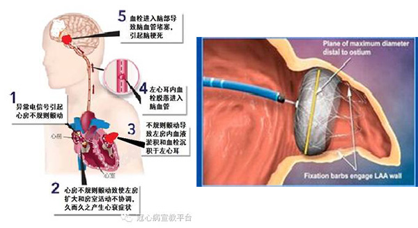 图片3.jpg 图片3.jpg