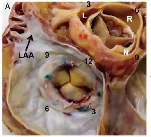 微信图片_20181105175857.jpg 微信图片_20181105175857.jpg