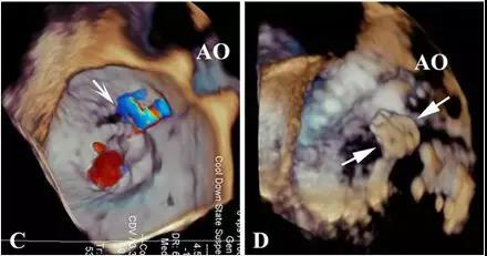 微信图片_20181105175904.jpg 微信图片_20181105175904.jpg