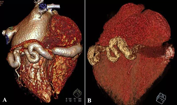 微信图片_20181106101913.jpg 微信图片_20181106101913.jpg
