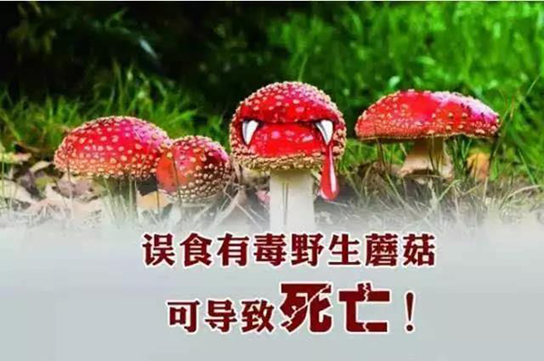 微信图片_20181106103444.jpg