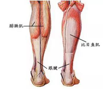 微信图片_20181107112651.jpg 微信图片_20181107112651.jpg