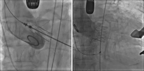 微信图片_20181107113358.jpg 微信图片_20181107113358.jpg