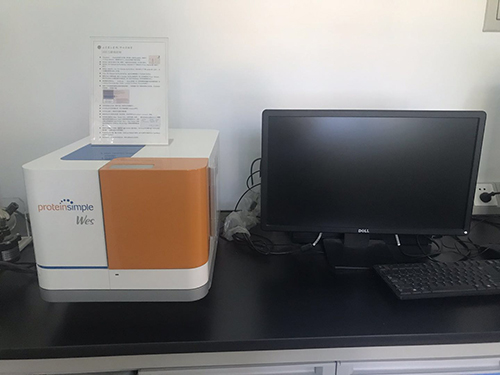 图片4.jpg 图片4.jpg