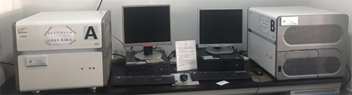 图片10.jpg 图片10.jpg