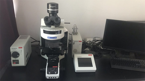 图片11.jpg 图片11.jpg