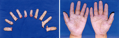 图片15.jpg 图片15.jpg