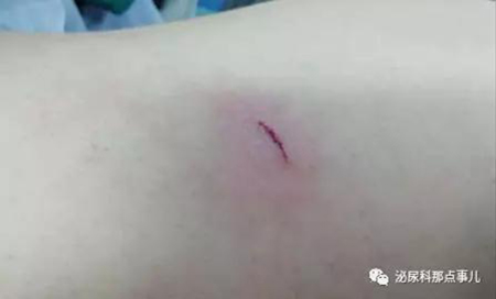 微信图片_20190315163531.jpg 微信图片_20190315163531.jpg