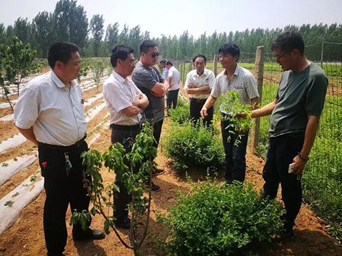 微信图片_20190321102859.jpg 微信图片_20190321102859.jpg