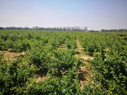 微信图片_20190321102910.jpg 微信图片_20190321102910.jpg