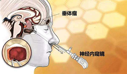 图片25.jpg 图片25.jpg