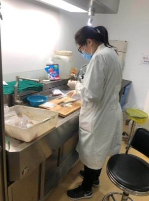 图片1.jpg 图片1.jpg