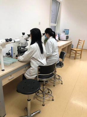 图片2.jpg 图片2.jpg