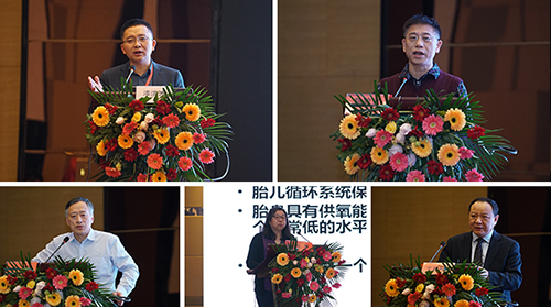 图片19.jpg 图片19.jpg