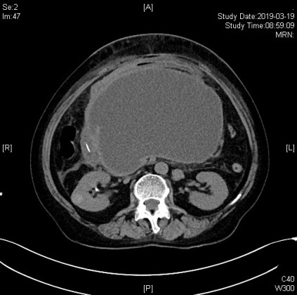 图片2.jpg 图片2.jpg