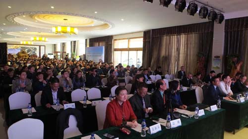 图片9.jpg 图片9.jpg