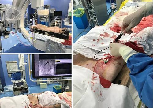 微信图片_20190506113207.jpg 微信图片_20190506113207.jpg