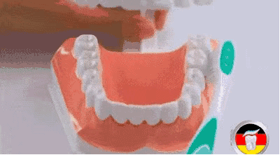 微信图片_20190508102818.gif 微信图片_20190508102818.gif