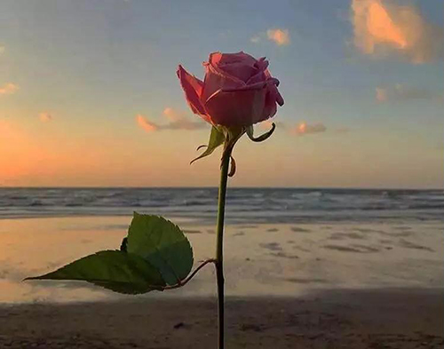 微信图片_20190517091655.jpg 微信图片_20190517091655.jpg