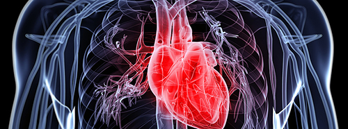 图片4.jpg 图片4.jpg