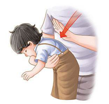 图片5.jpg 图片5.jpg