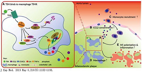 微信图片_20190617083814.jpg 微信图片_20190617083814.jpg