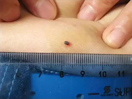 图片1.jpg 图片1.jpg