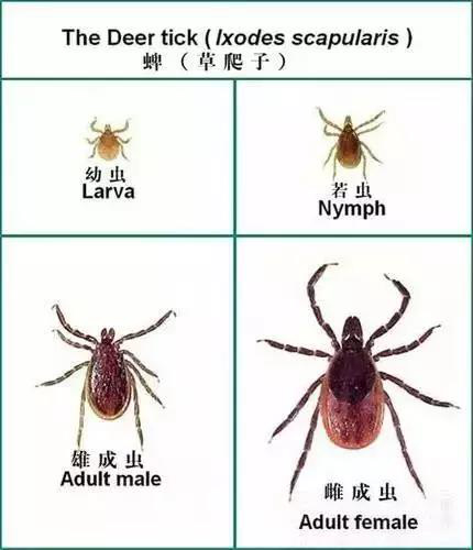 图片2.jpg 图片2.jpg